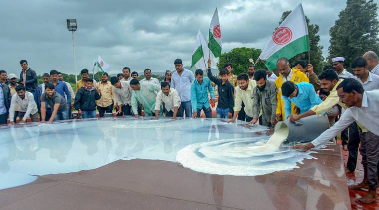 milk, milk production