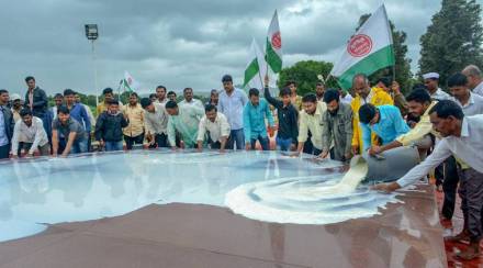 milk, milk production