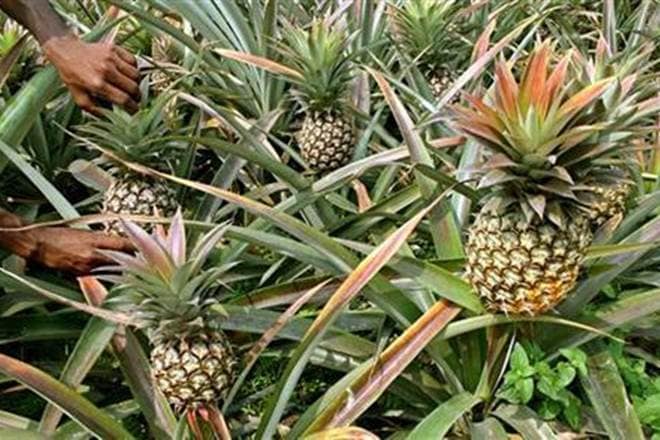 Representative Image: Reuters Representative Image: Reuters