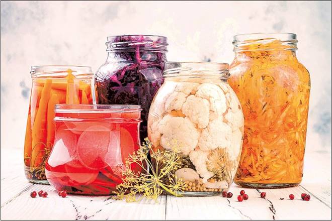  Fermented milk, probiotic beverages and yoghurt, kefir, kombucha, kimchi, miso, sauerkraut, etc, are becoming the new urban cool. 