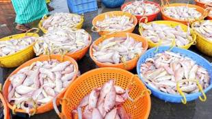india, seafood, export, dinancial year, shipments, frozen fish, marine products, japan, european union, international market, cargo