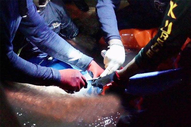 thailand cave rescue pictures, thailand cave rescue photos, thai cave rescue pictures, thai cave rescue, thailand cave rescue, thai cave incident, thai navy seal, thai soccer team rescue, thailand cave rescue story