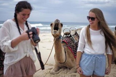 Tourism in India, Tourism, India, economy, indian economy, travel economy, World Tourism, travel