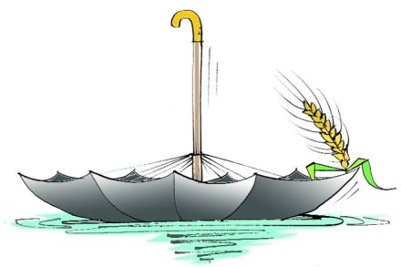 weather, weather derivatives weather, weather derivatives