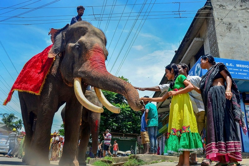 jagannath rath yatra, jagannath rath yatra image, jagannath rath yatra ahmedabad 2018, jagannath rath yatra puri, rath yatra, rath yatra images, rath yatra images 2018, rath yatra 2018 ahmedabad, rath yatra puri, rath yatra photo, rath yatra pictures, rath yatra images, rath yatra images odia