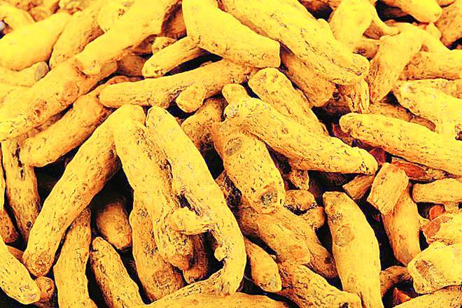Good rains to boost turmeric production