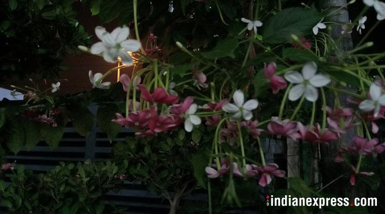 atal bihari vajpayee latest news, atal bihari vajpayee latest pic, atal bihari vajpayee latest pictures, atal bihari vajpayee latest photos, atal bihari vajpayee photo gallery, atal bihari vajpayee photo image, atal bihari vajpayee funeral , atal bihari vajpayee pic 2018, atal bihari vajpayee current pics, vajpayee image, vajpayee dead, vajpayee death photos