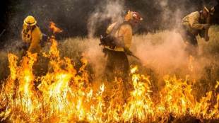 California fire, California fire toll, California fire death toll, Carr Fire, world news