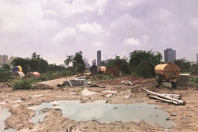 Noida Authority, Noida biodiversity park, Noida Sector 91 forest Noida Authority, Noida biodiversity park, Noida Sector 91 forest