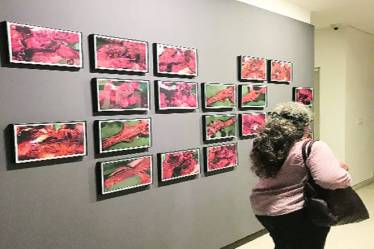 art, artwork, art exchibition, art exhibition in delhi