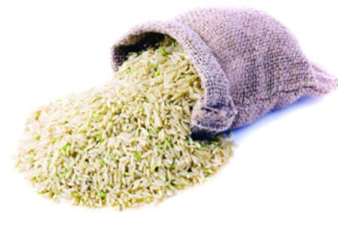 basmati, basmati rice, rice production, rice