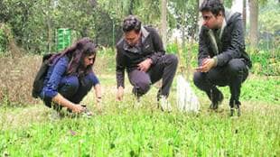 environment, environmental work, work for environment