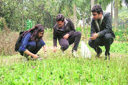 environment, environmental work, work for environment