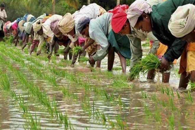 Modi’s dream to double farmers’ income gets a leg up as agriculture exports pick up after 3 subdued years
