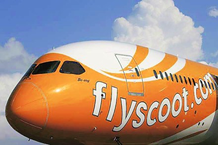 flyscoot, vistara flyscoot, vistara