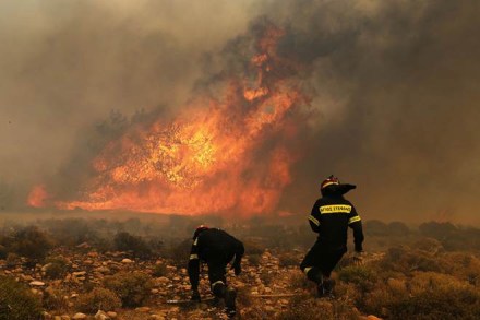 Greece fire, Greece forest fire, national disaster, national disaster response, national disaster response agency, world news