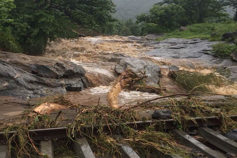 kerala rain photos, kerala rain images, kerala rain pics, kerala dam water level today, kerala flood news, kerala flood videos, kerala flood images, kerala flood alert