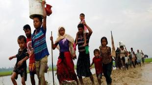 rohingya crisis, rohingya crisis, rohingya crisis india, rohingya problem in india, number of rohingya refugees in india