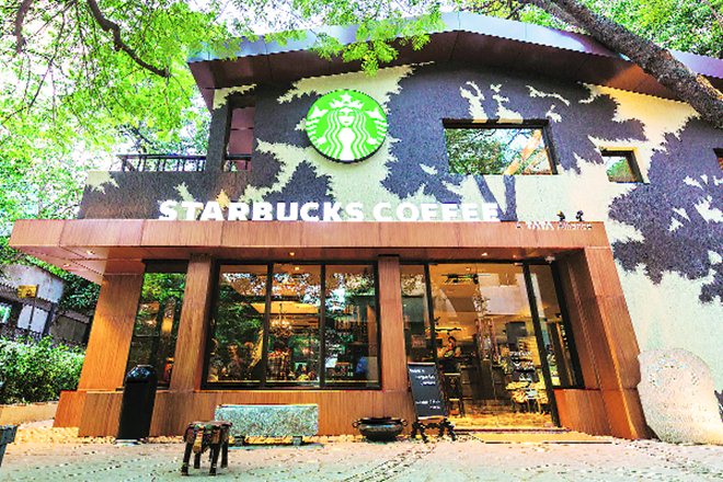 starbucks, starbucks coffee