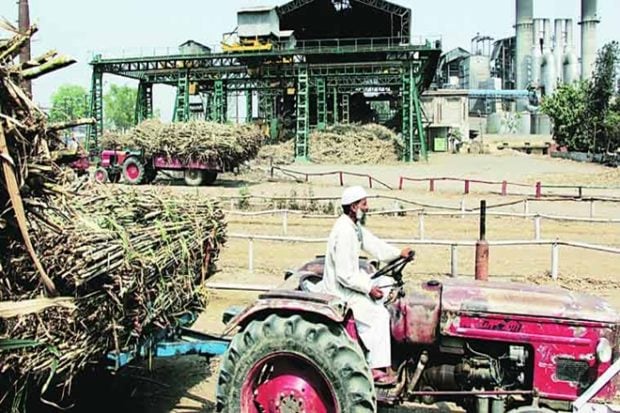 Uttar Pradesh is the primary sugarcane producing state of the country and occupies the first place in both sugarcane and sugar production. 