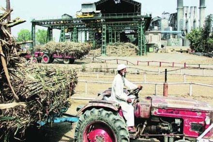 Uttar Pradesh is the primary sugarcane producing state of the country and occupies the first place in both sugarcane and sugar production. 