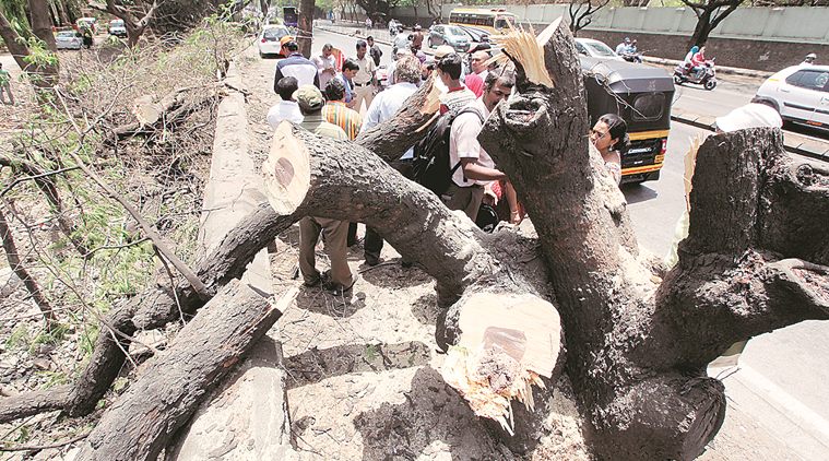 Rupee plunge, Nifty over-valuation, macro fears no worry for stock market; 3 CIOs tell how to invest now