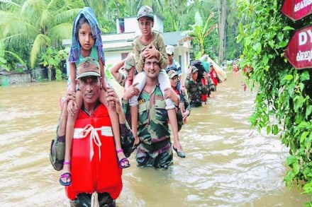 Doxycycline stocks fall as ‘rat fever’ hits Kerala