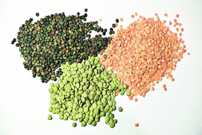 Traders have been protesting against the government’s decision to amend the APMC Act to make purchases below the MSP punishable