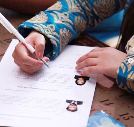 Maharashtra Moong farmers suffer double whammy as prices plunge