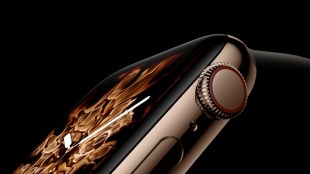 apple watch series 4, apple watch series 4 price in india, apple watch series 4 india, apple watch series 4 release date, apple watch series 4 launch date, apple watch series 4 pictures, apple watch series 4 pics, apple watch 4 pictures, apple watch 4 pics, apple watch series 4 photos, apple watch 4 photo, apple watch series 4 images, apple watch series 4 leaked image