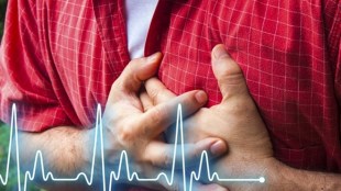world heart day 2018 theme, world heart day theme 2018, world heart day date in india, world heart day date, world heart day 2018 slogan, world heart day campaigns, world heart day india, cardiovascular disease, diabetes, cardiovascular disease death rate, diabetes deaths in india, diabetes death rate
