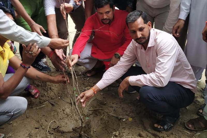 delhi plantation drive, mega tree plantation drive, delhi tree plantation, tree plantation day photos, arvind kejriwal, tree plantation in delhi, tree plantation campaign delhi
