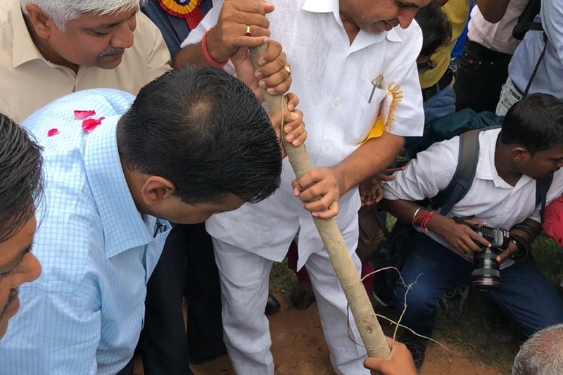 delhi plantation drive, mega tree plantation drive, delhi tree plantation, tree plantation day photos, arvind kejriwal, tree plantation in delhi, tree plantation campaign delhi
