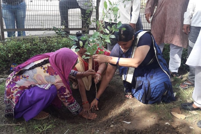 delhi plantation drive, mega tree plantation drive, delhi tree plantation, tree plantation day photos, arvind kejriwal, tree plantation in delhi, tree plantation campaign delhi
