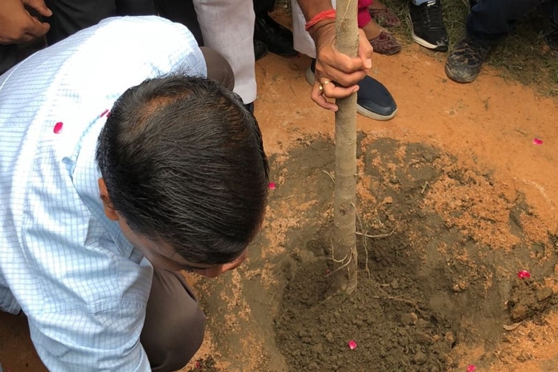 delhi plantation drive, mega tree plantation drive, delhi tree plantation, tree plantation day photos, arvind kejriwal, tree plantation in delhi, tree plantation campaign delhi