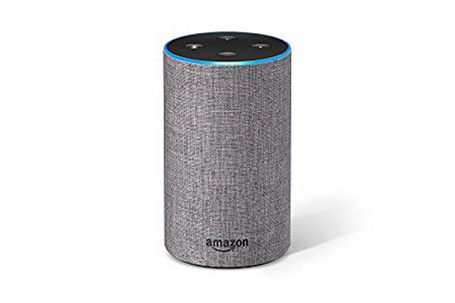 Amazon Echo is the leader in the Indian market Amazon Echo is the leader in the Indian market