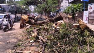 bengaluru weather today, bengaluru weather today rain, bangalore weather today rain time, bangalore weather rain forecast today, rain in bangalore, rain in bangalore now, rain in bangalore today, rain in bangalore latest news, rain in bangalore in september 2018