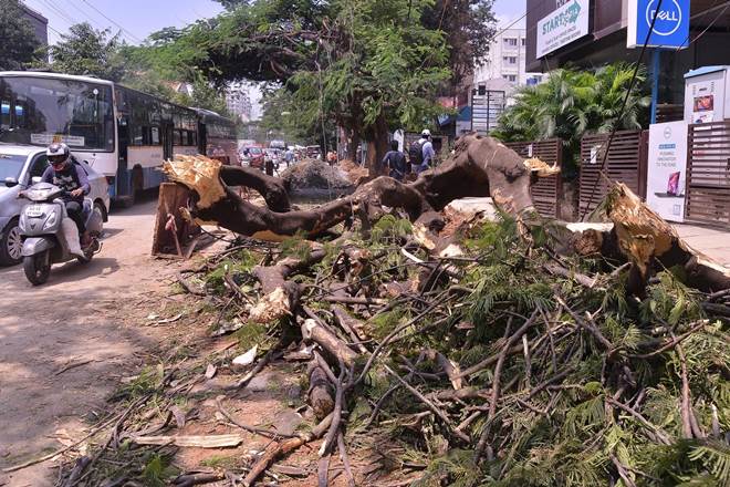 bengaluru weather today, bengaluru weather today rain, bangalore weather today rain time, bangalore weather rain forecast today, rain in bangalore, rain in bangalore now, rain in bangalore today, rain in bangalore latest news, rain in bangalore in september 2018 bengaluru weather today, bengaluru weather today rain, bangalore weather today rain time, bangalore weather rain forecast today, rain in bangalore, rain in bangalore now, rain in bangalore today, rain in bangalore latest news, rain in bangalore in september 2018