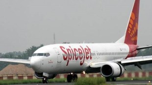 spice jet, latest news, important news, trending news, delhi-shirdi flight, flight to shirdi direct from delhi