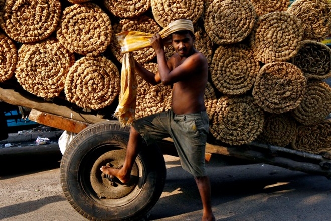 A rough thumb rule in the industry is that Rs 3,000 worth coconut fibre would yield coir pith worth Rs 2,000. (Reuters) A rough thumb rule in the industry is that Rs 3,000 worth coconut fibre would yield coir pith worth Rs 2,000. (Reuters)