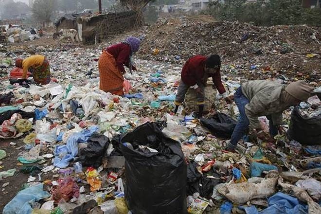 To minimise transportation cost and avoid landfills, the by-laws mandate decentralised processing mechanisms such as biomethanation and composting in the colonies themselves. (AP)