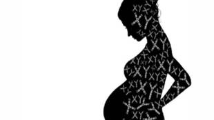 Pradhan Mantri Matru Vandana Yojana, narendra modi PM maternity scheme
