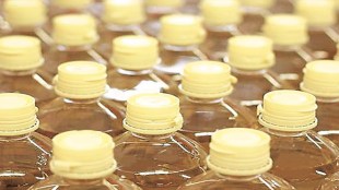 Cooking oil imports, SEA, Crude Sunflower Oil ,Oils import