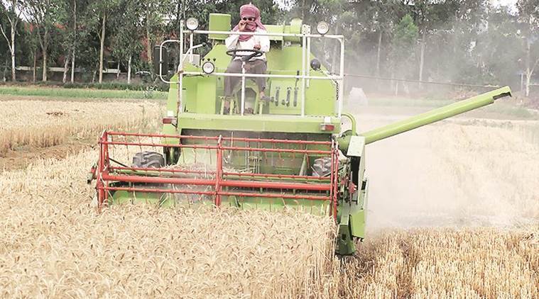 crop, kharif crop, agriculture sector, agricultue industry