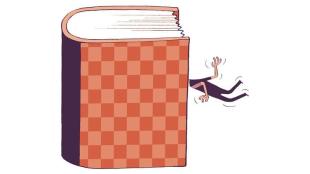 education, higher education