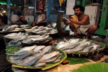Goa Congress seeks ban on fish imports over presence of formalin