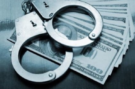 fraud, book review