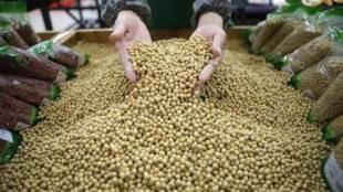 geac, gm crops