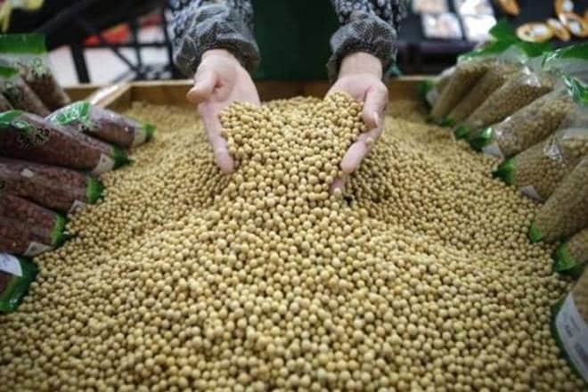 geac, gm crops