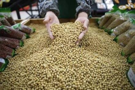 geac, gm crops